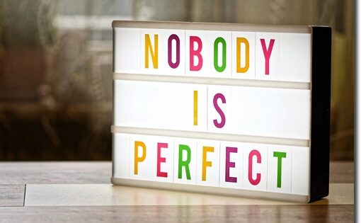 Nobody Is Perfect