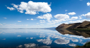 The Great Reflection
