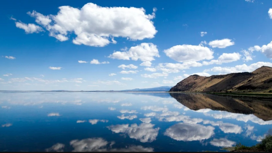 The Great Reflection